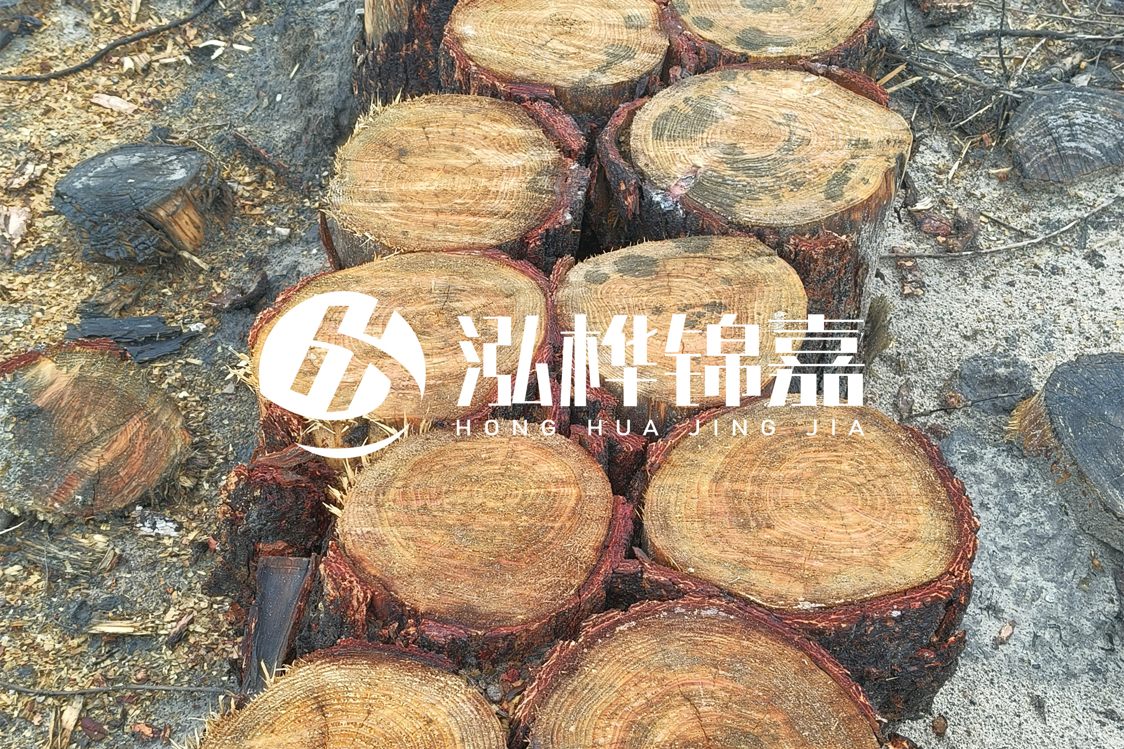 浙江臺州有清淤的公司嗎？浙江臺州有清淤施工隊(duì)嗎？