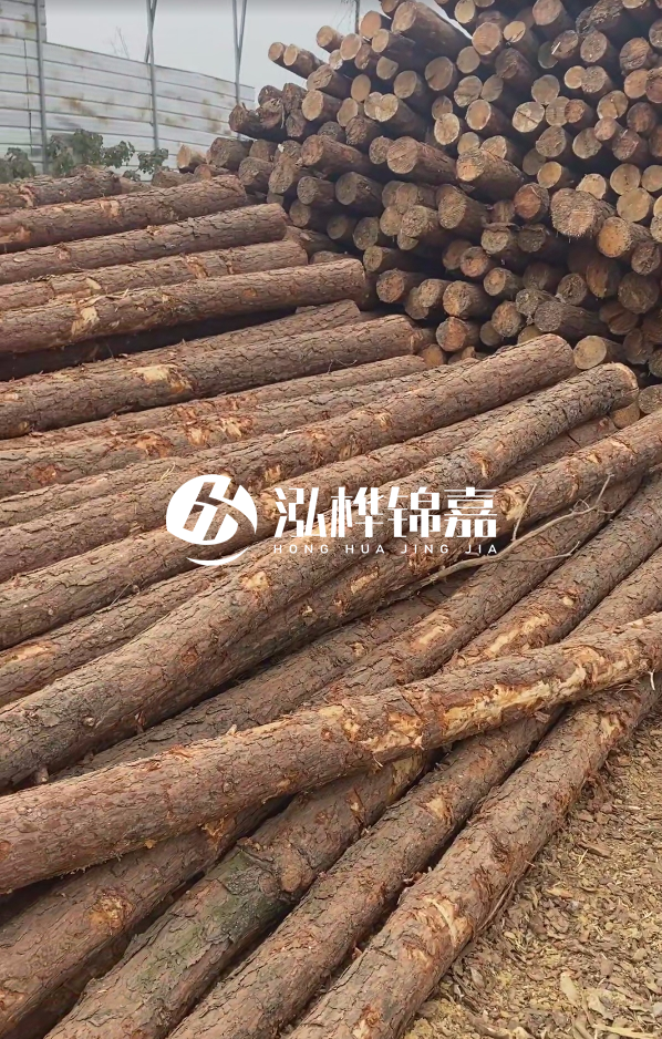 山西河道木樁護(hù)岸價格多少錢一米-每米河道打樁要花多少錢？
