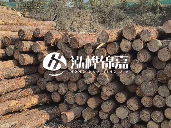 落葉松木材的主要產(chǎn)地在哪里？為什么比其他松木更耐腐蝕？