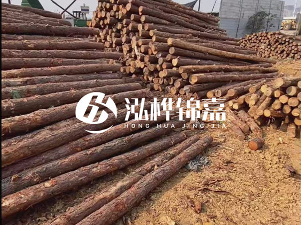 河道木樁施工遇到淤泥怎么辦？打多深才能防沖刷？