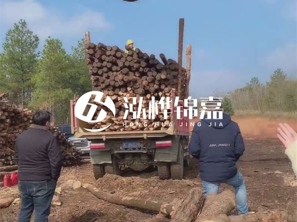 防腐木樁價(jià)格比普通木樁貴多少？防腐木樁有哪些處理方式？