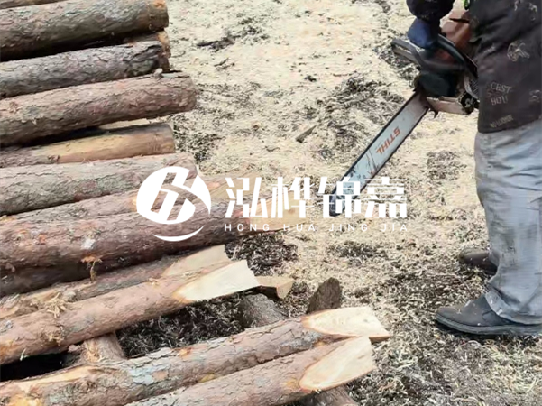 杉木樁批發(fā)廠家哪家好？產(chǎn)地直供渠道推薦！