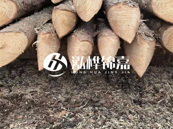打樁木樁與鋼樁相比有哪些優(yōu)缺點(diǎn)？如何進(jìn)行后期維護(hù)？