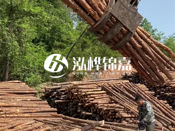 哪里能買到優(yōu)質(zhì) 3 米松木樁？長沙有松木樁批發(fā)工廠嗎？