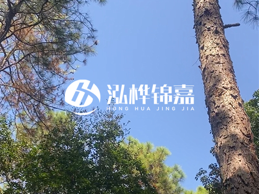 松木樁廠家泓樺錦嘉可以實(shí)地考察嗎？需要提前預(yù)約嗎？