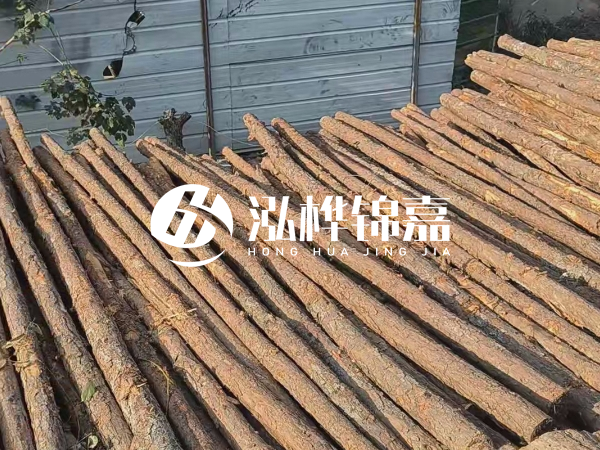 松木樁打樁后清淤怎么處理？有沒有全包的公司？