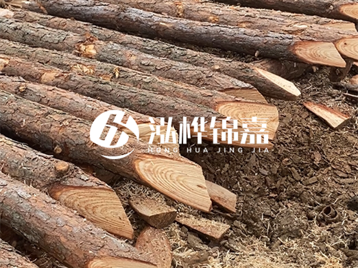 松木樁廠家泓樺錦嘉-河道兩邊打樁是干嘛的？