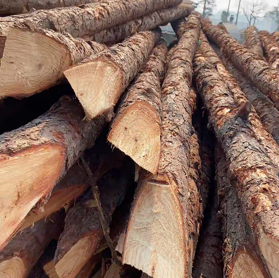 松木樁施工隊(duì)泓樺錦嘉 - 原木松木樁怎么辨別是否為實(shí)心？