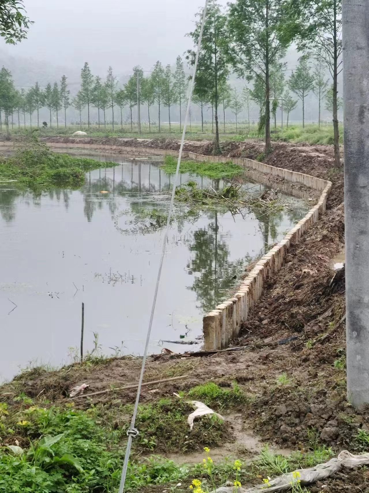 水泥仿木樁施工隊(duì)泓樺錦嘉 - 仿木樁施工多少錢一米？