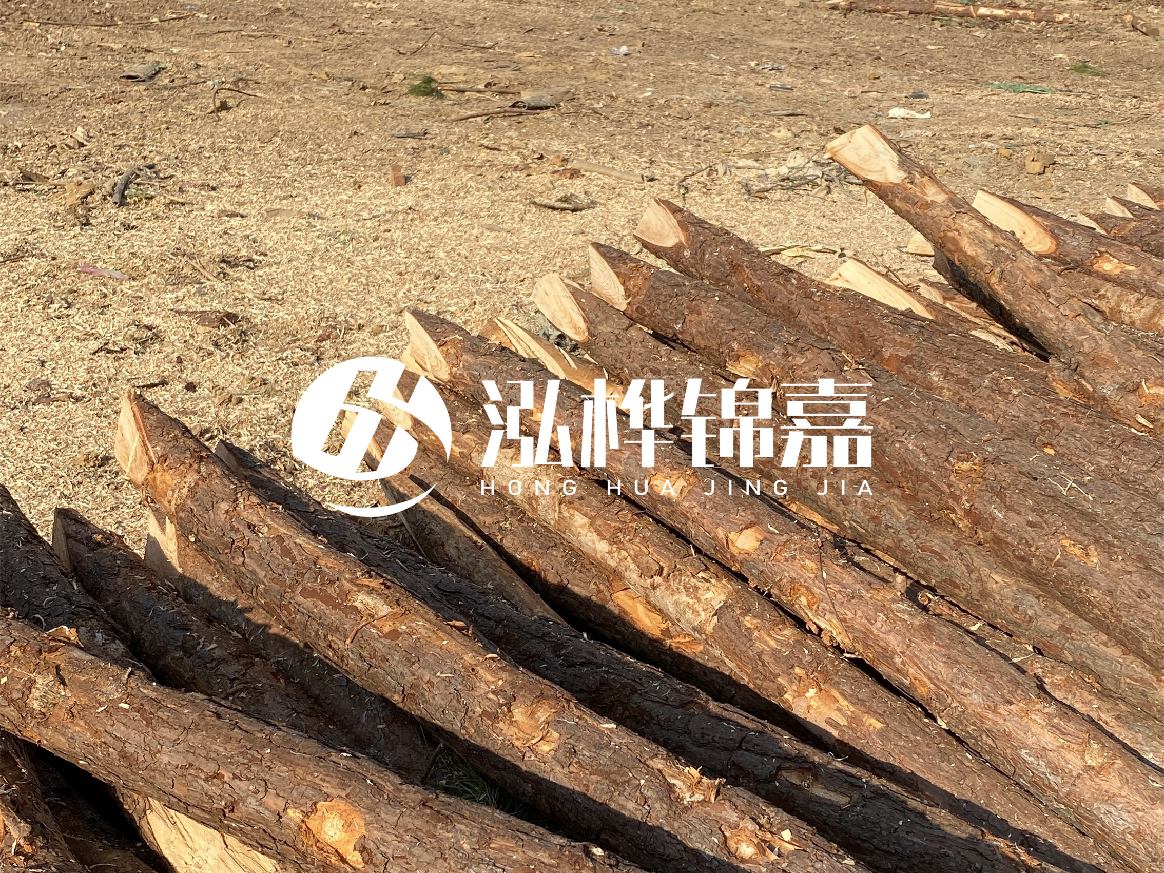 松木樁施工隊(duì)泓樺錦嘉 - 落葉松的直徑能達(dá)到20cm嗎？