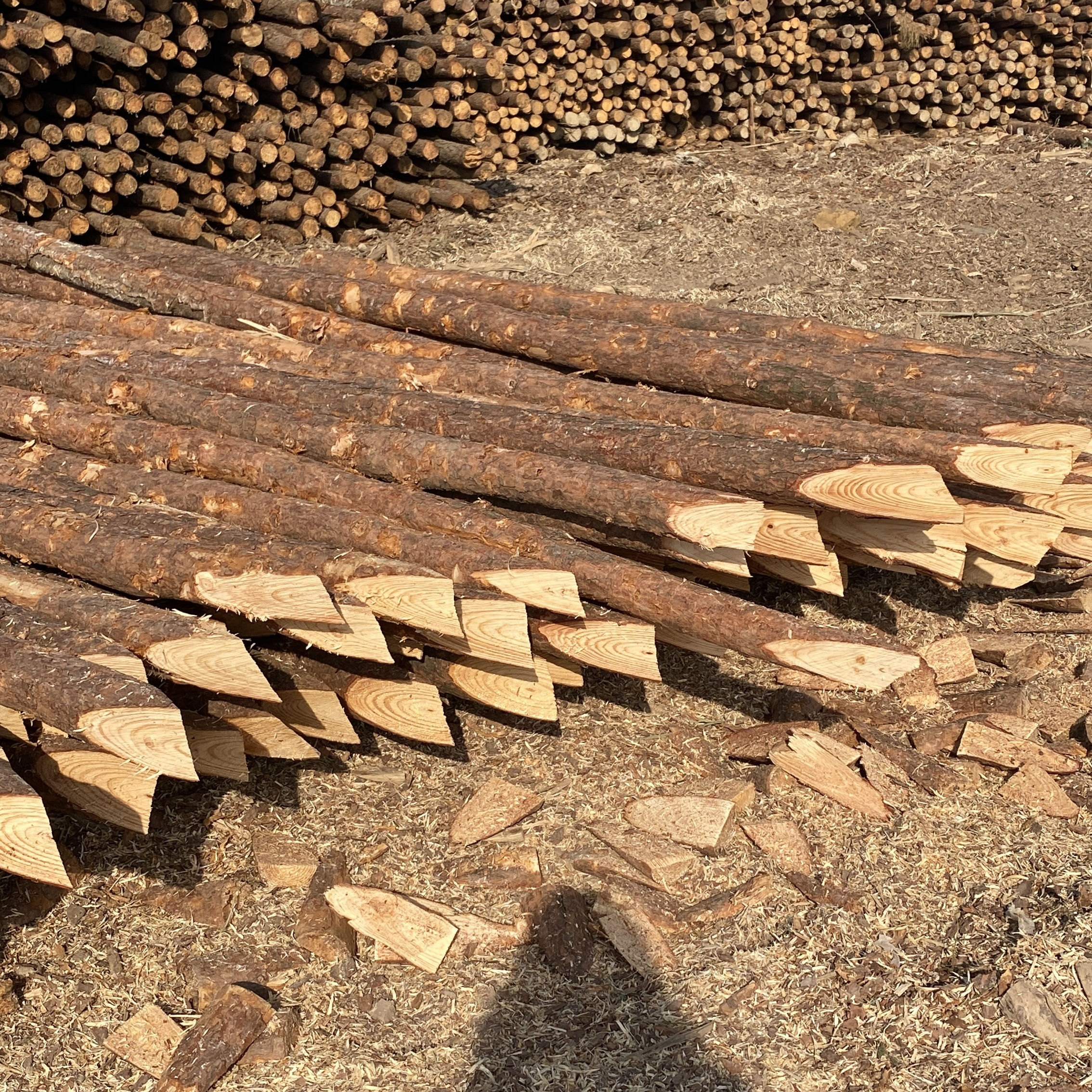 松木樁施工隊(duì)泓樺錦嘉-樁與樁之間的距離要求？