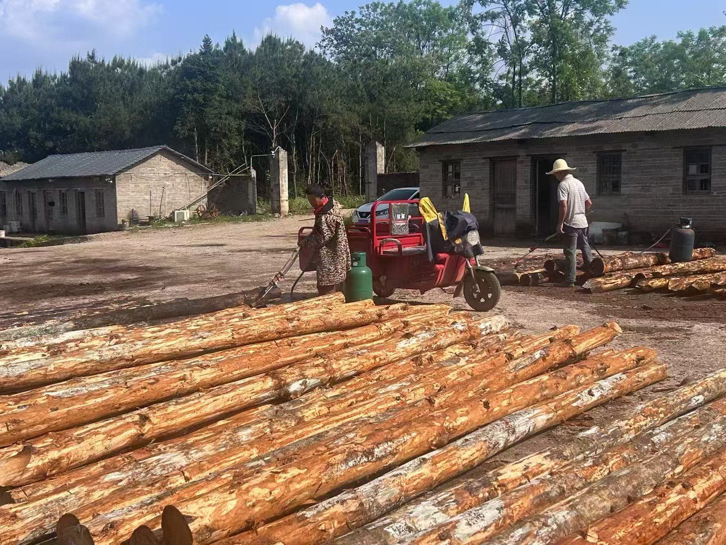 松木樁施工隊(duì)泓樺錦嘉 - 建房子地基打木樁靠譜嗎？