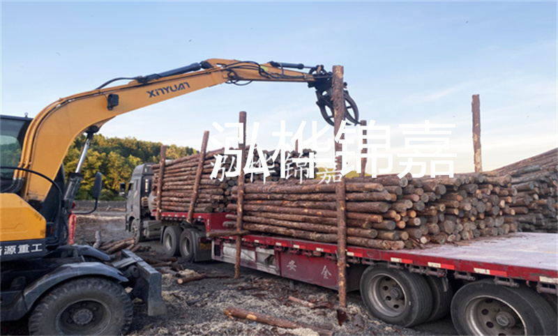打造自然與人工相結(jié)合的仿木樁護岸，保護岸邊生態(tài)多樣性