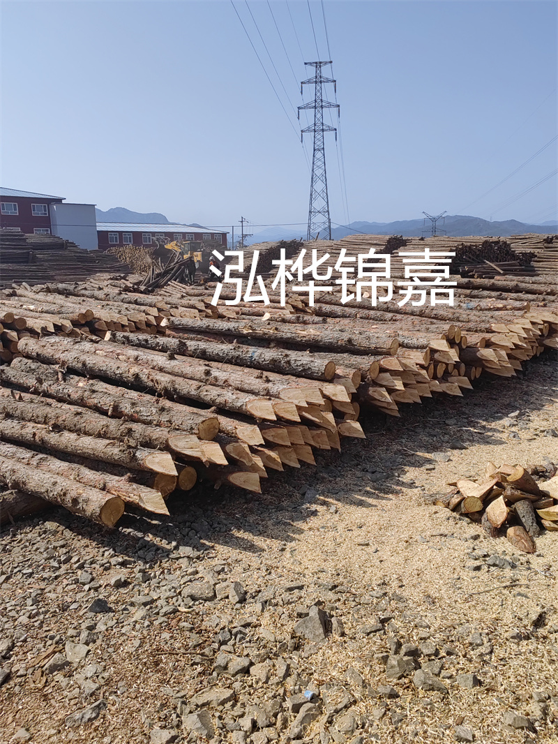 深入了解松木樁基礎(chǔ)施工單價，助力工程建設(shè)順利進行！