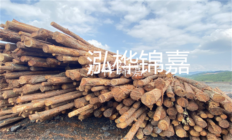 濮陽(yáng)松木樁，卓越品質(zhì)，安全可靠