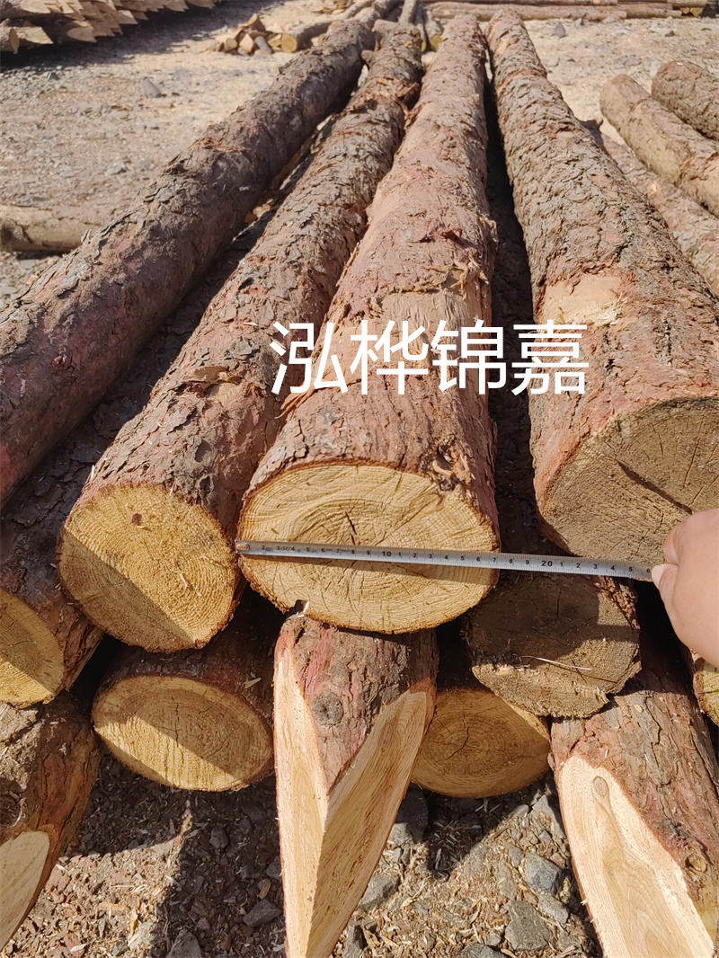 福建哪里買松木樁？