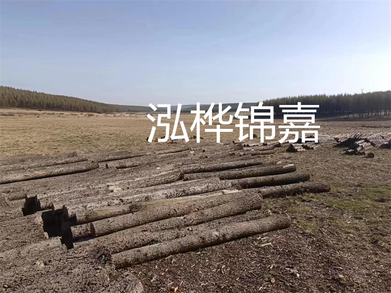 鄂州松木樁哪里好？推薦泓樺錦嘉松木樁業(yè)！